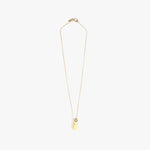 Dinosaur Designs Joie De Vivre Pendant Necklaces in Lemon Colour resin with Gold-Filled Material