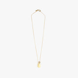 Dinosaur Designs Joie De Vivre Pendant Necklaces in Lemon Colour resin with Gold-Filled Material