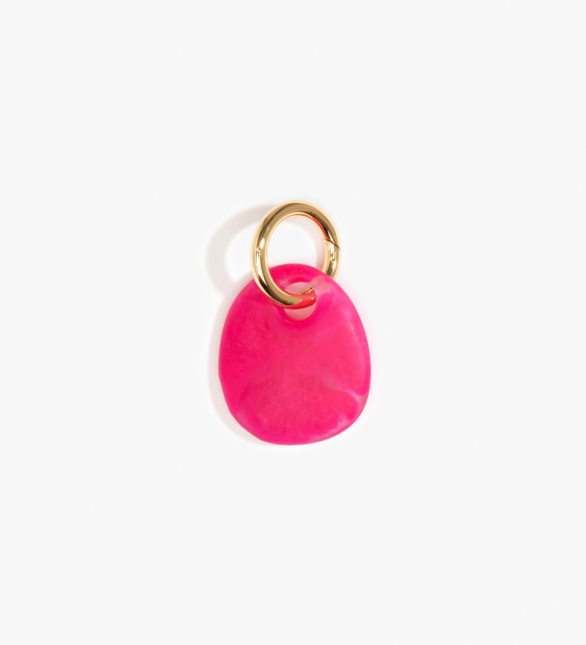 Dinosaur Designs Earth Keyring Keychains in Flamingo Colour resin with Brass Metal