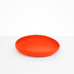 Dinosaur Designs Large Earth Bowl Bowls in Coral Pop Colour resin