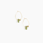 Dinosaur Designs Joie De Vivre Hoop Earrings Earrings in Olive Colour resin with Gold-Filled Material