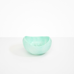 Dinosaur Designs Large Beetle Bowl Bowls in Mint Colour resin