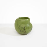 Dinosaur Designs Large Moss Vase Vases in Olive Colour resin 